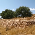 Yefren- Nafusa